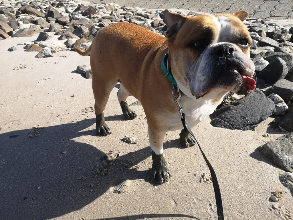 Condolence image of Katharina & Roberto 