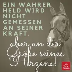 Condolence image of Elke und Horst mit Fiby (+30.09.2020) ❤️