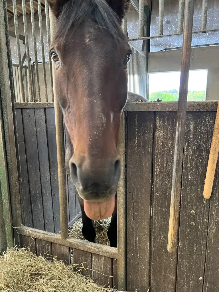 Condolence image of Peter Kürbi