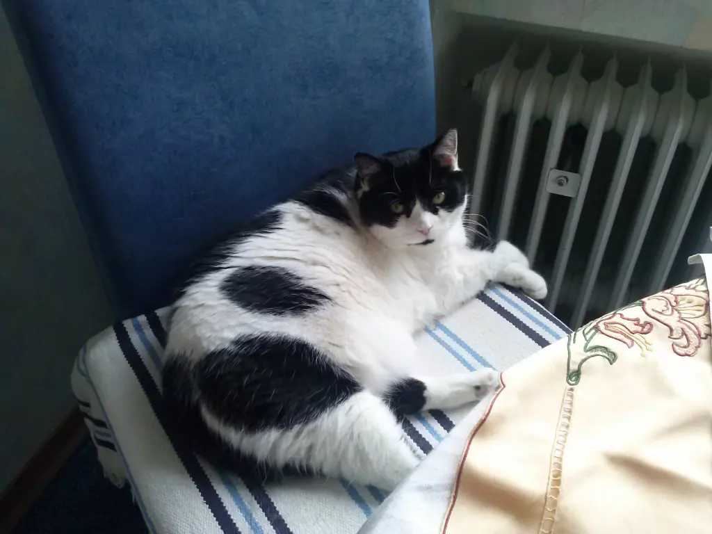 Condolence image of Ursula