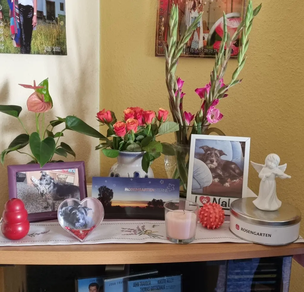 Condolence image of Petra Zenzius