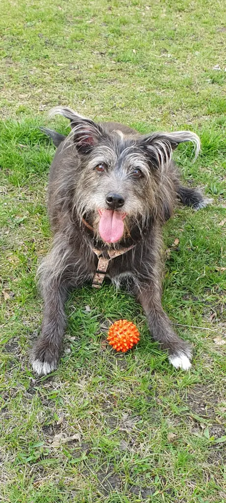 Condolence image of Petra Zenzius