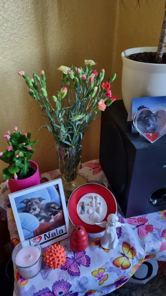 Condolence image of Petra Zenzius