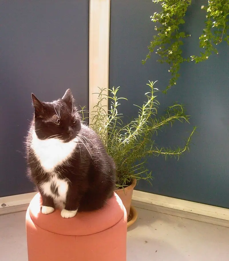 Condolence image of Jeanne - Marie
