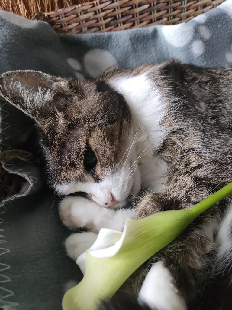 Condolence image of Jürgen 