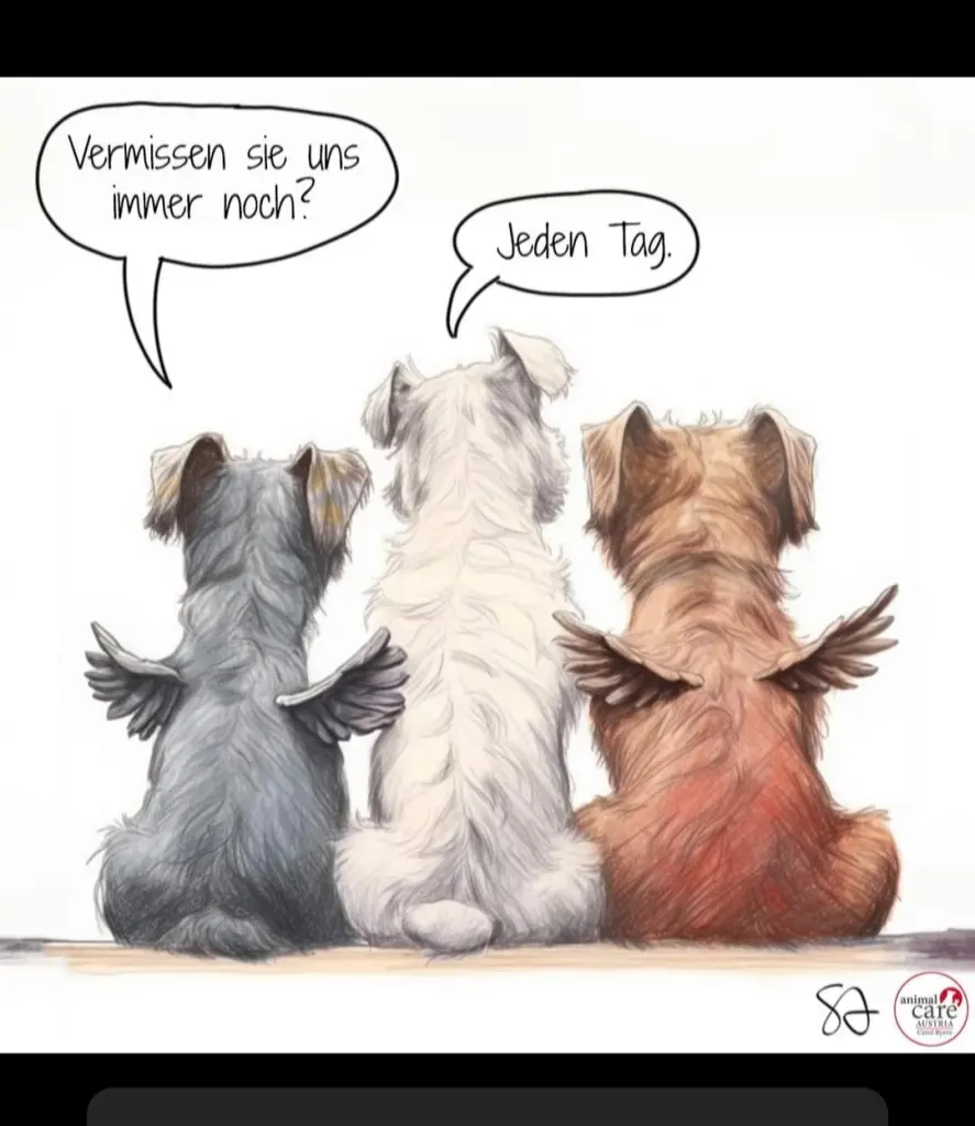 Condolence image of Carmen  Mayer-Fröhlich 