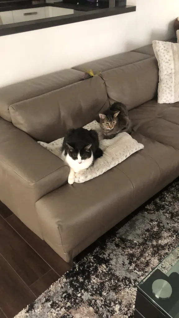 Condolence image of Oma und Susanne mit Lilly und Bruno im Herzen 17.6.23 und 6.10.23 ????)