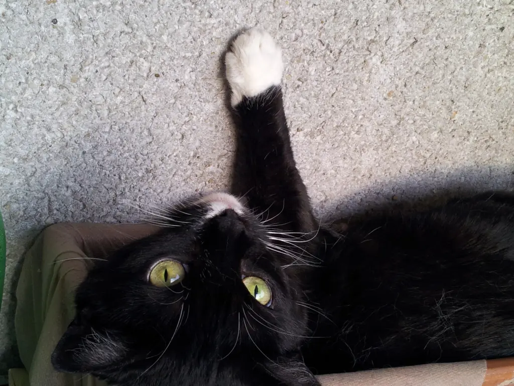 Condolence image of Sabine mit Max und Mara im ♥️ 