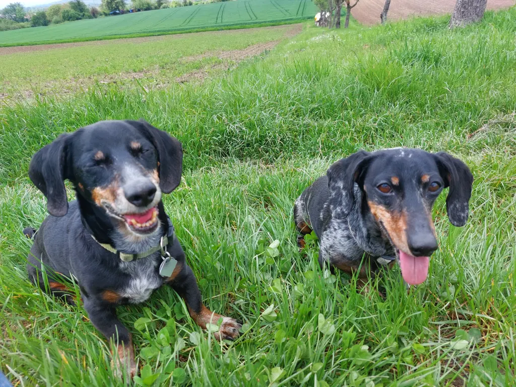 Condolence image of Tina