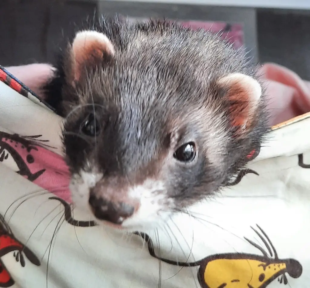 Condolence image of Unbekannt