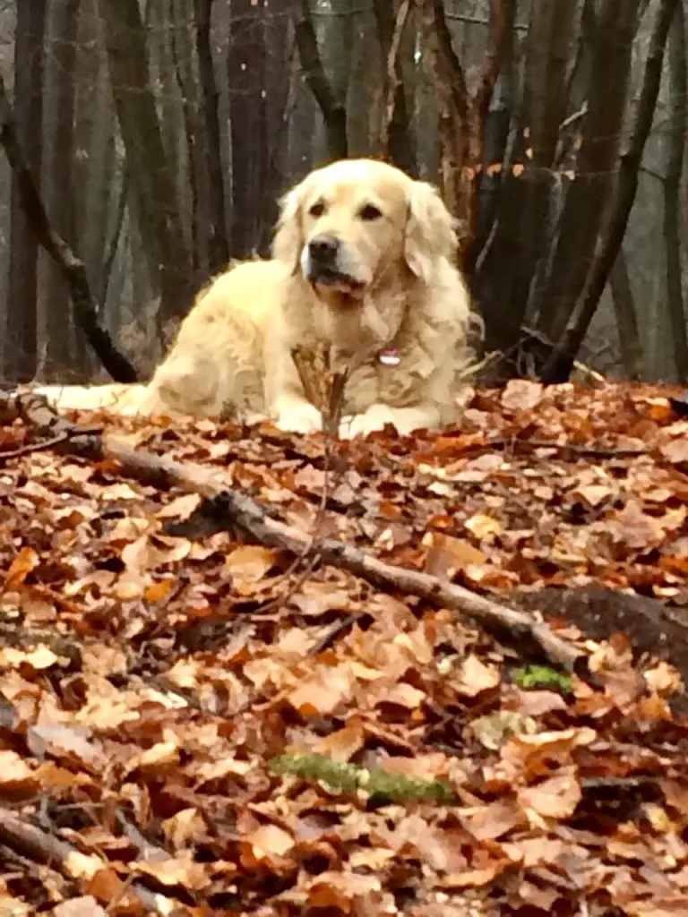 Condolence image of Andy und Piet