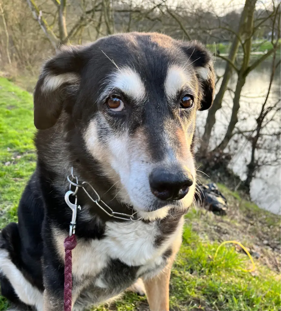 Condolence image of Brigitta