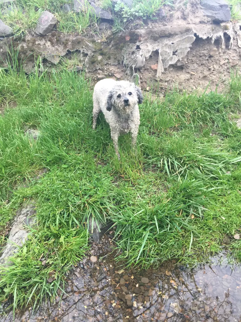 Image from Luna
