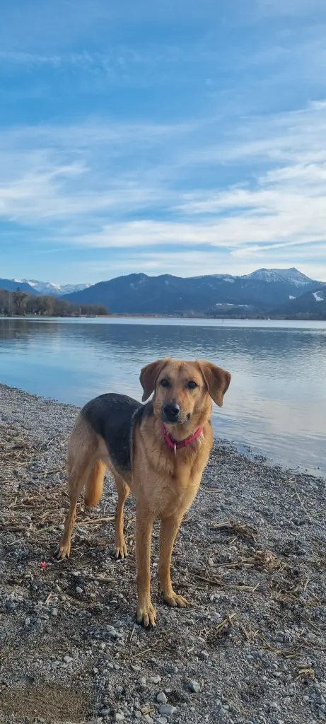 Condolence image of Birgit und Sten mit Kleo