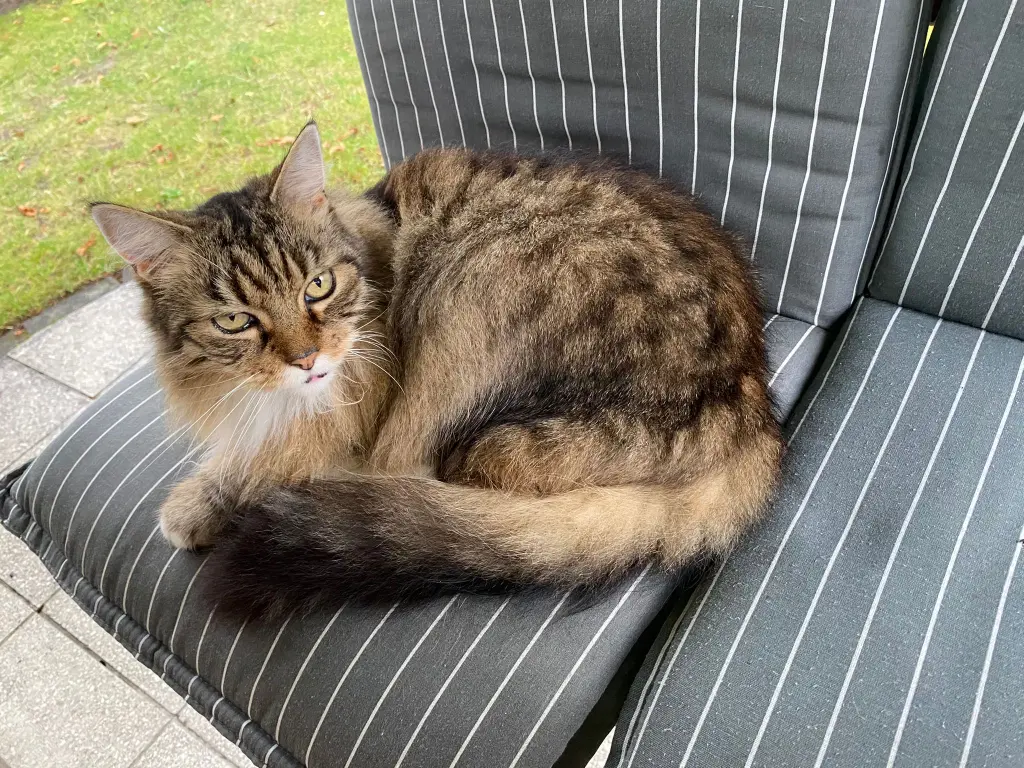 Condolence image of Jutta