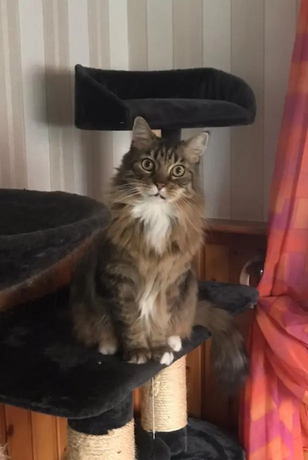 Condolence image of Jutta