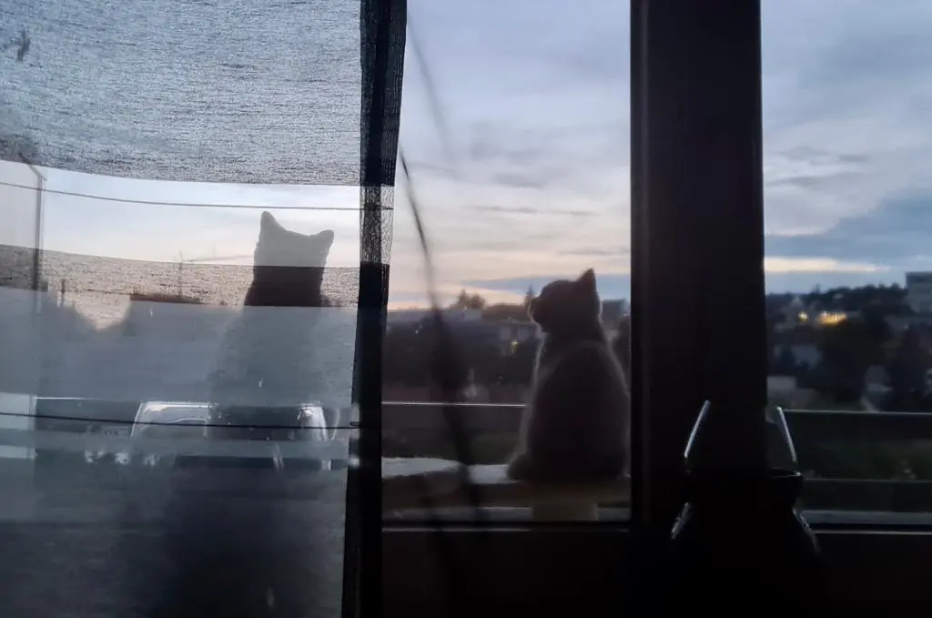 Condolence image of Anna 