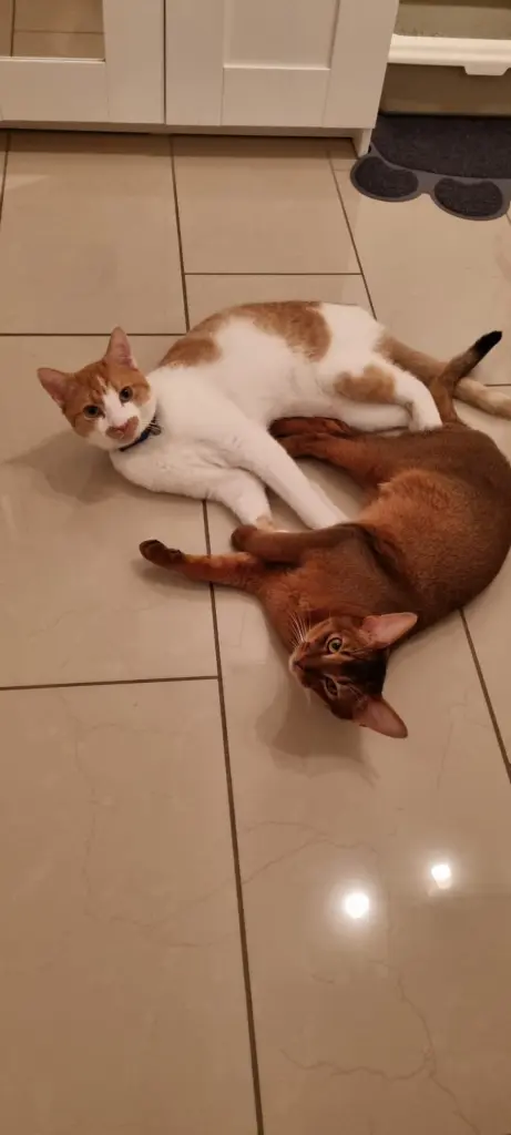 Condolence image of Мама