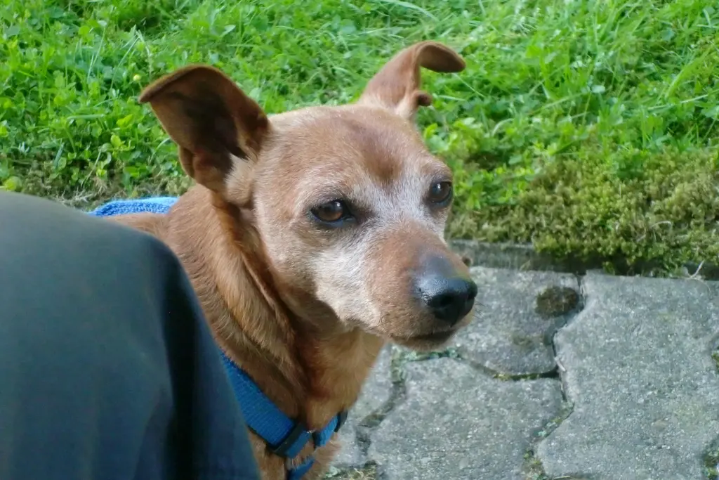 Condolence image of Jutta