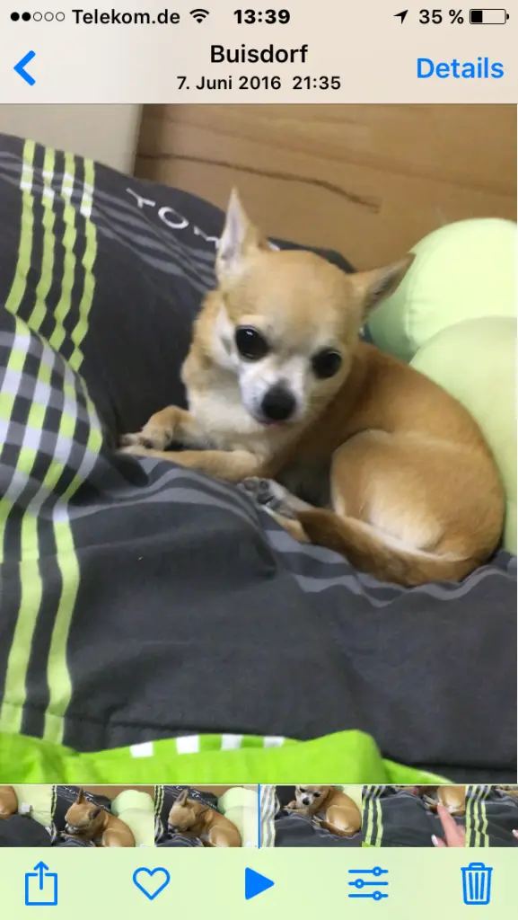 Image from Nelly
