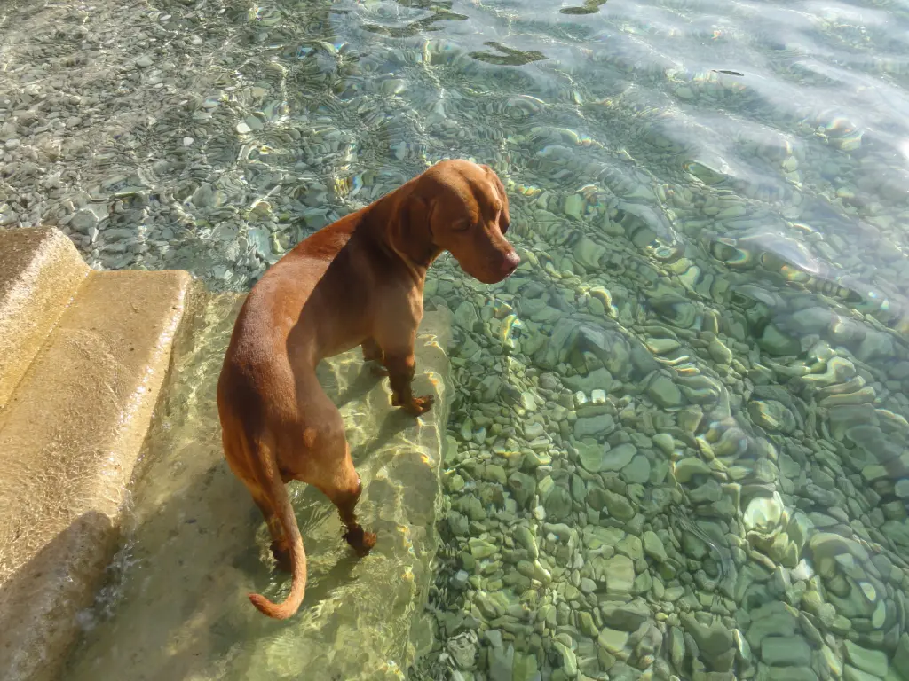 Image from Aaron von der Weiß