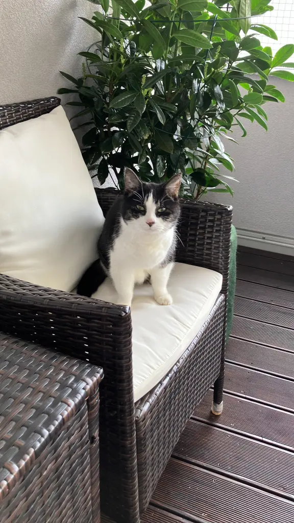 Condolence image of Susanne mit Lilly