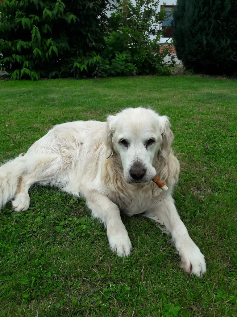 Condolence image of Michael und Annette Müller