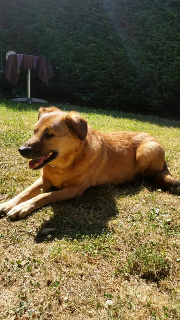 Condolence image of Marion Nowaczyk