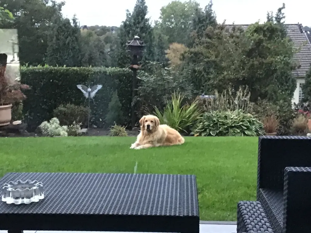 Condolence image of Angelika mit Luna von ❤️ + 02.03.2023