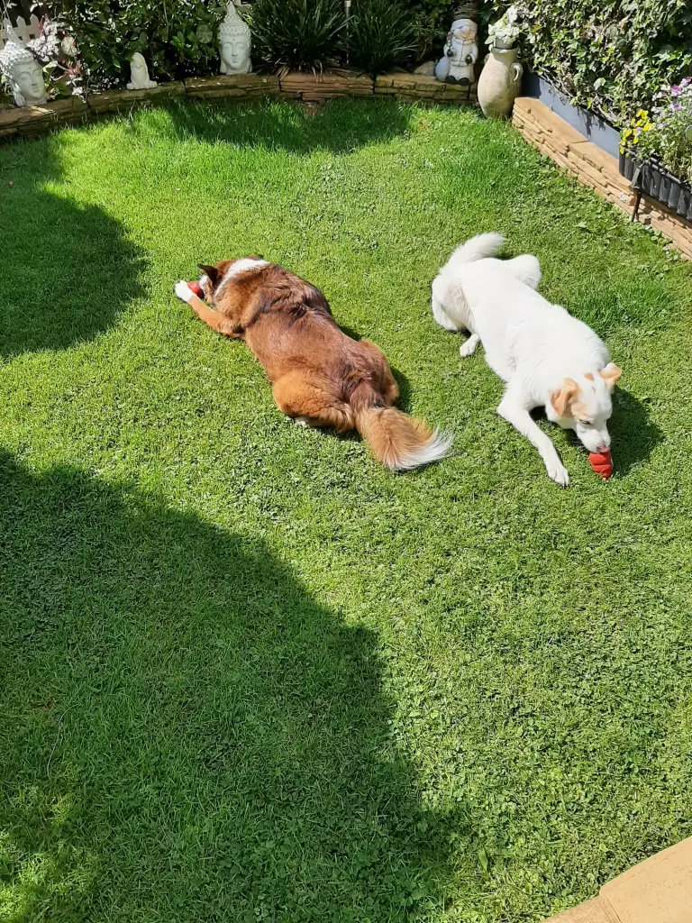 Condolence image of Heike