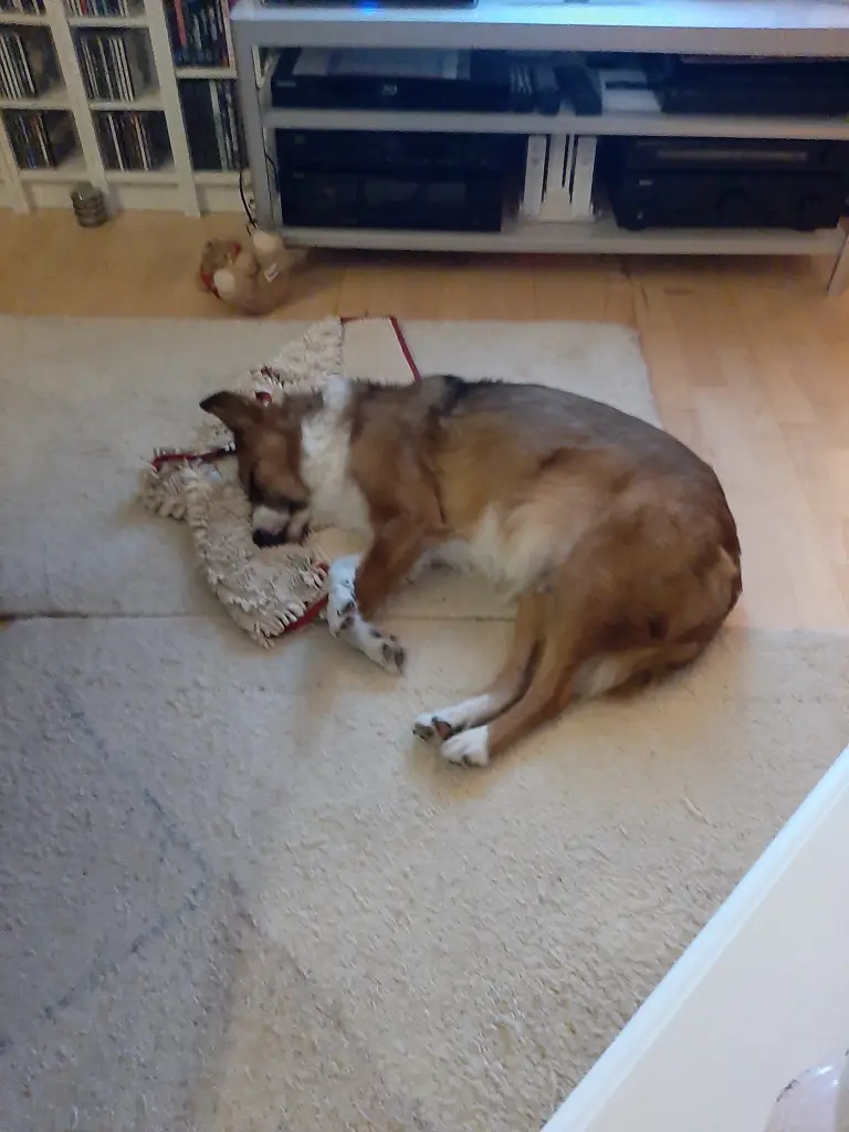 Condolence image of Heike