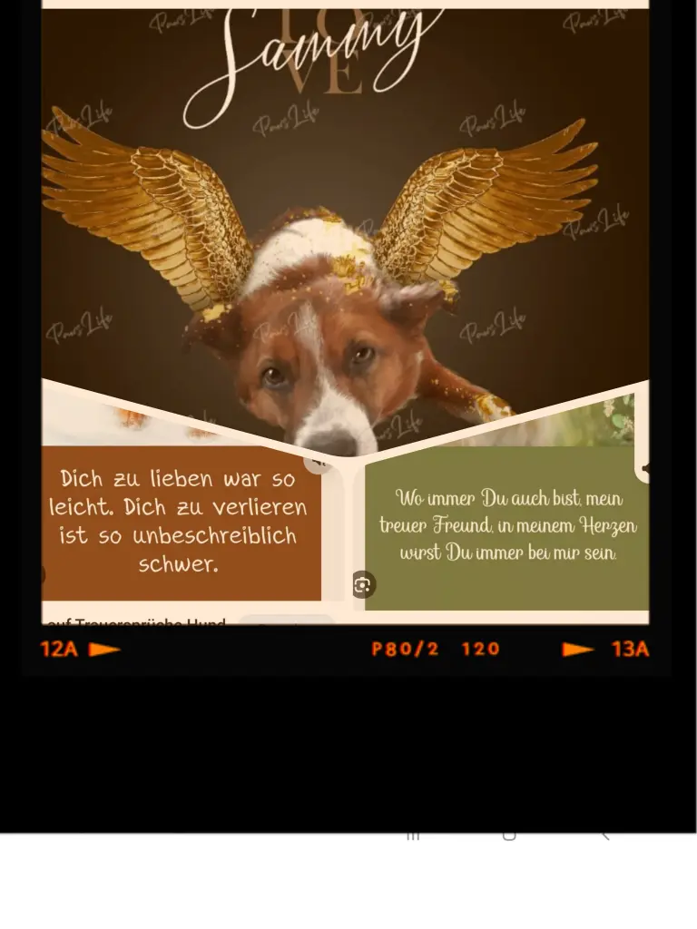 Condolence image of Heike