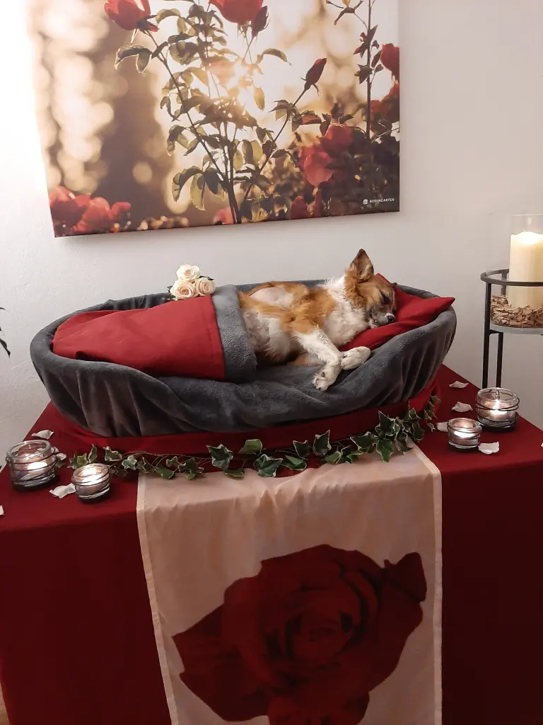 Condolence image of Heike