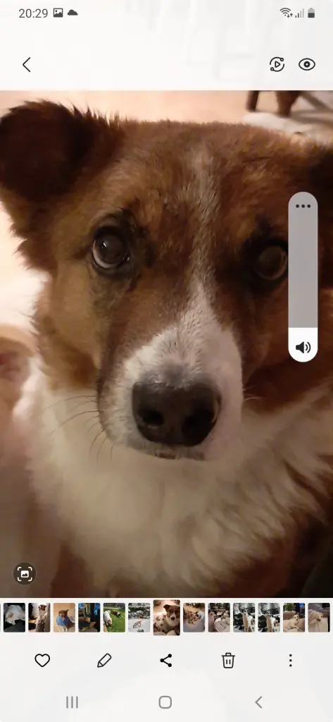 Condolence image of Heike