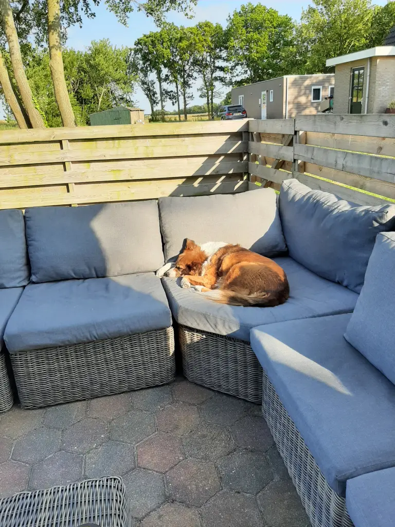 Condolence image of Unbekannt