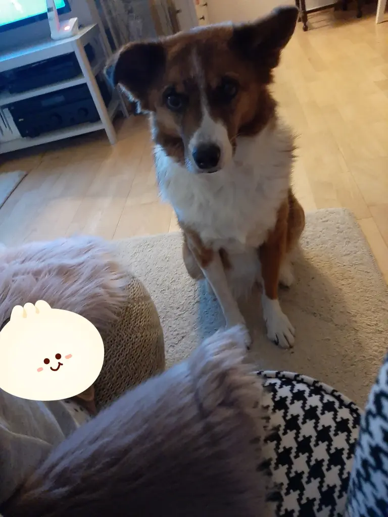 Condolence image of Heike