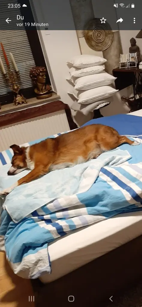 Condolence image of Heike