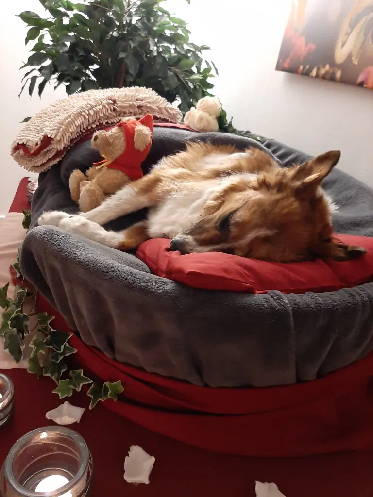 Condolence image of Heike