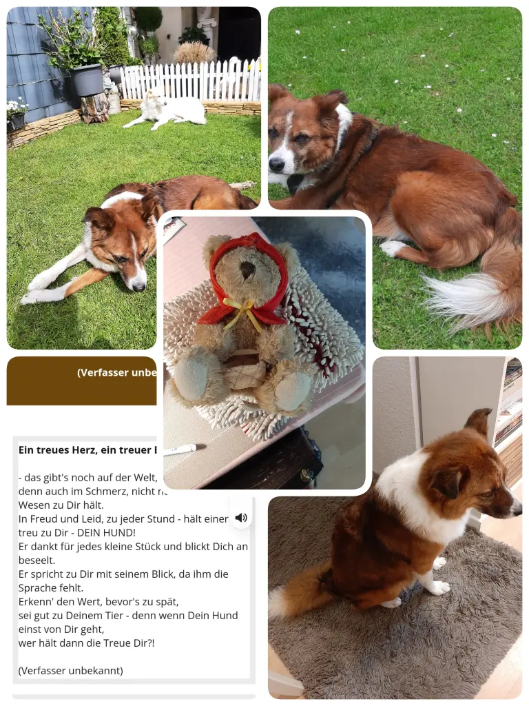 Condolence image of Heike Levering-Hempel