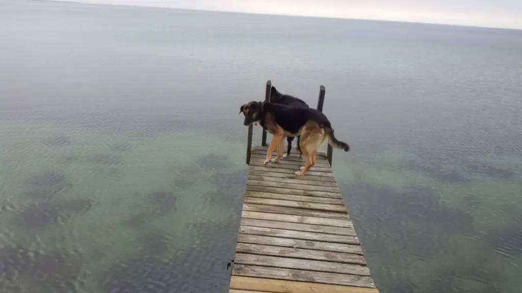 Condolence image of Mechthild und Manfred 