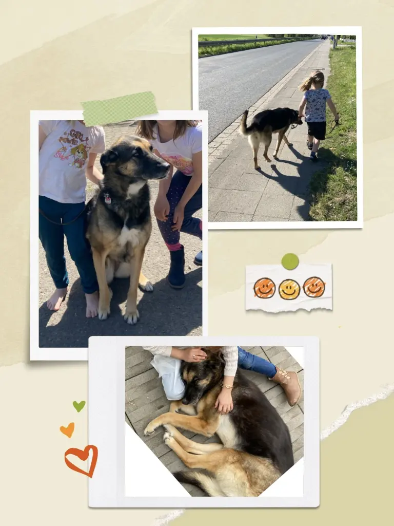 Image from Negruschka