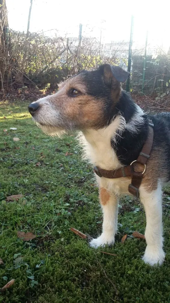 Condolence image of Claudia mit Paul im Herzen ♥️