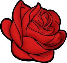 Image from Tommy