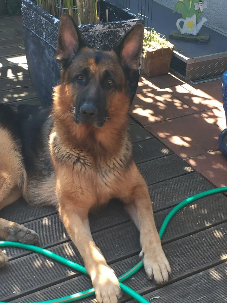 Image from Yuri