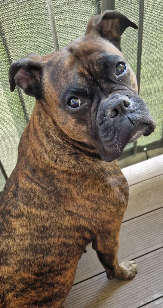 Image from Roxy