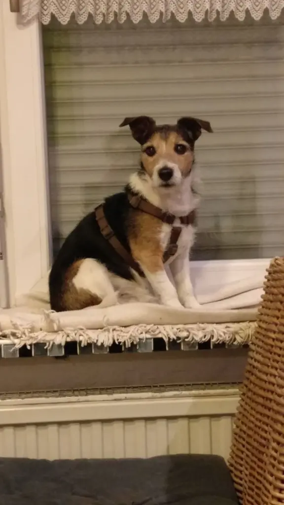 Condolence image of Claudia mit paul im Herzen ♥️