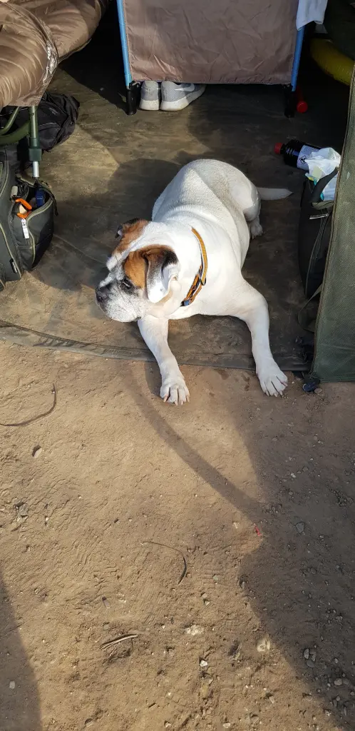 Condolence image of Sascha  Roeder 