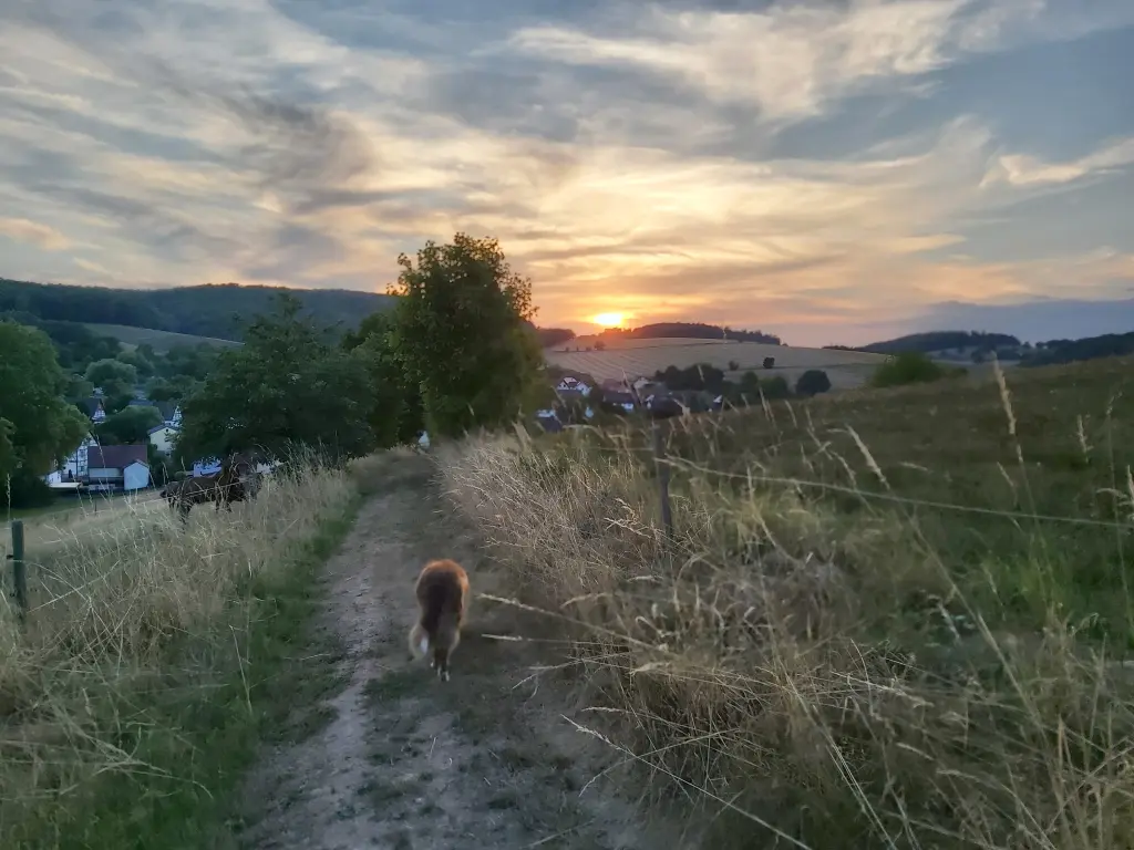 Image from Sam