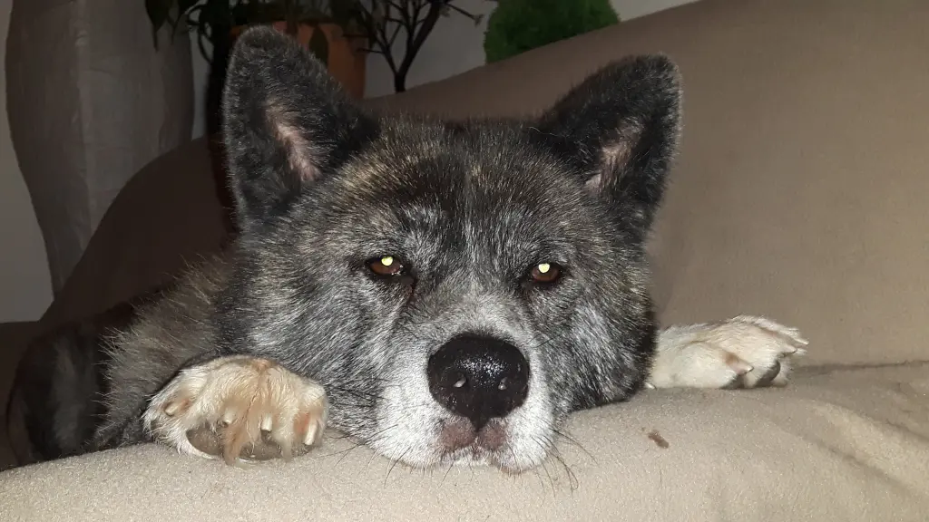 Condolence image of Unbekannt