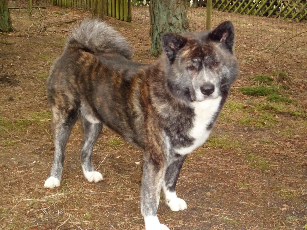 Condolence image of Sascha